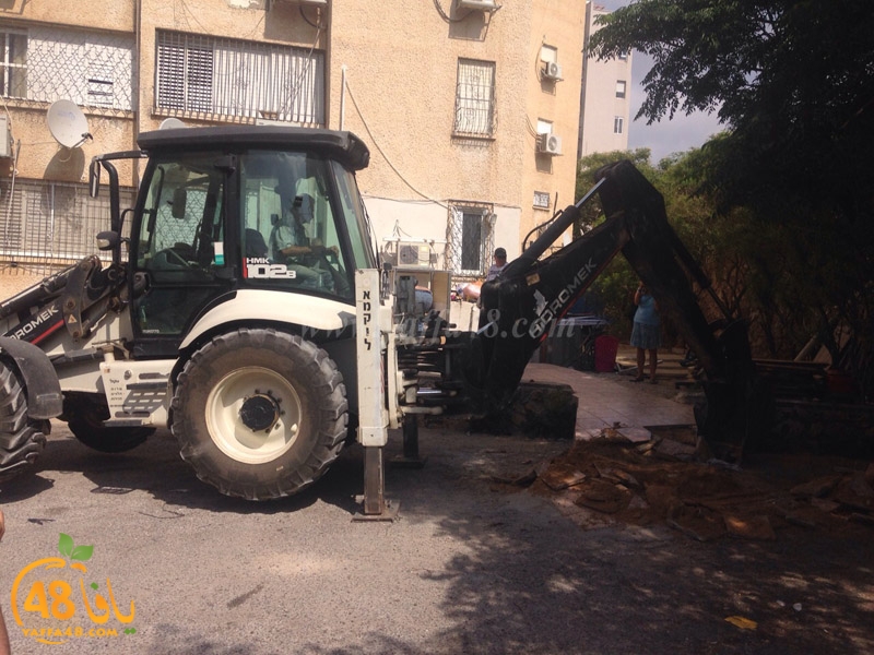 hadm ajza2444 (4).jpg